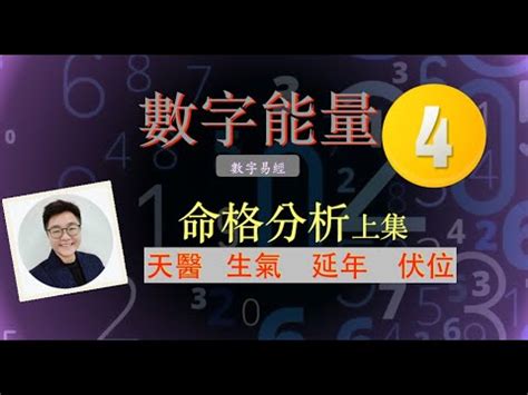 生氣天醫延年伏位|數字易經揭密版，一分鐘快速識人術